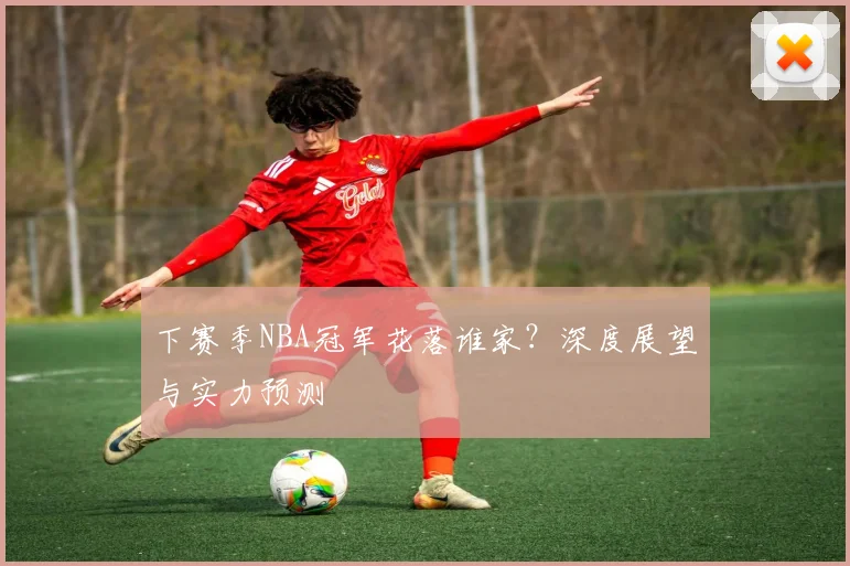下赛季NBA冠军花落谁家？深度展望与实力预测